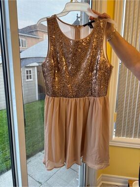 Forever 21 Rose Gold flower Sequin Bodice Chiffon Dress